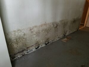 Mold Inspection, Remediation and Cleanup | Westport, CT